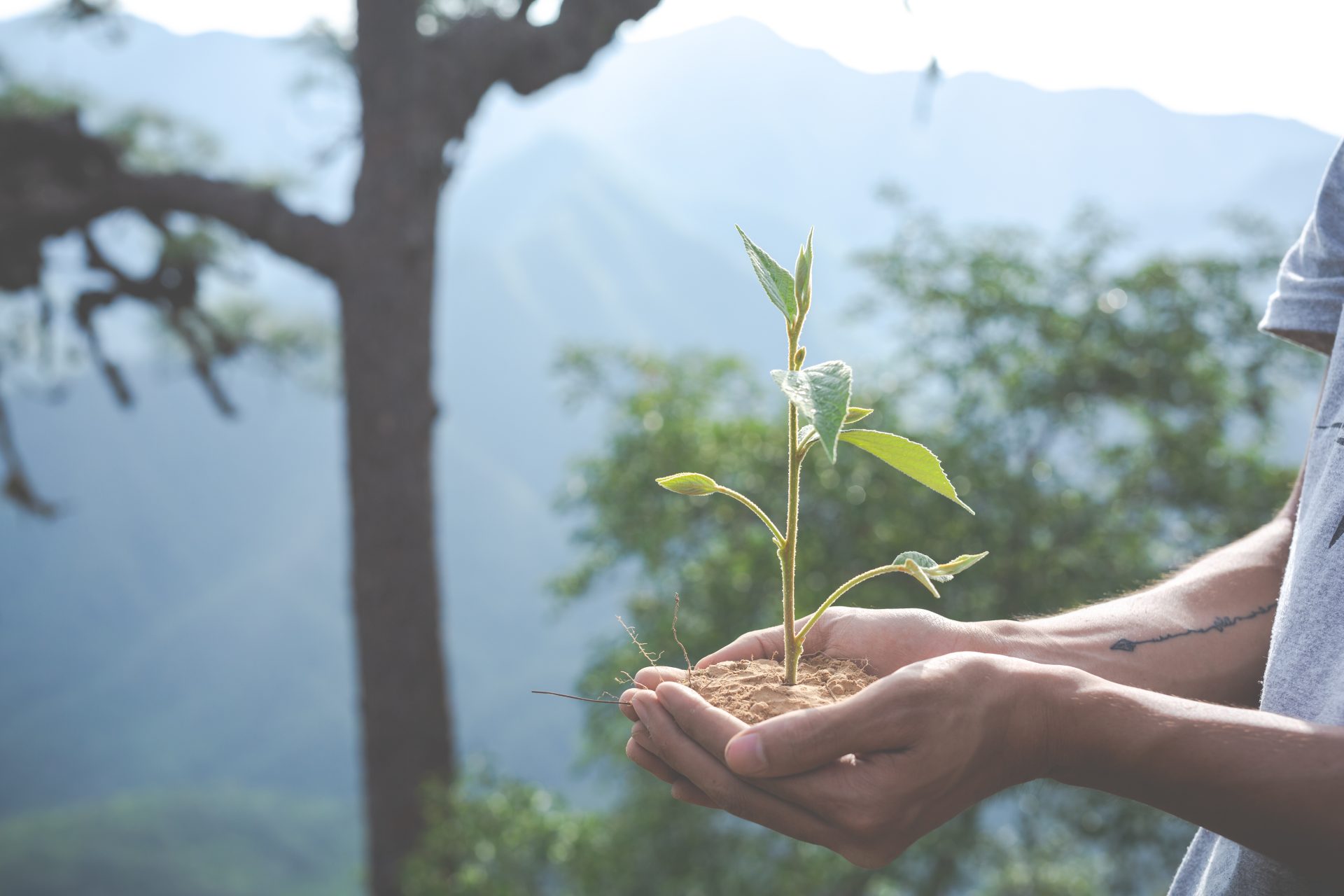 Você sabe o que é sustentabilidade?