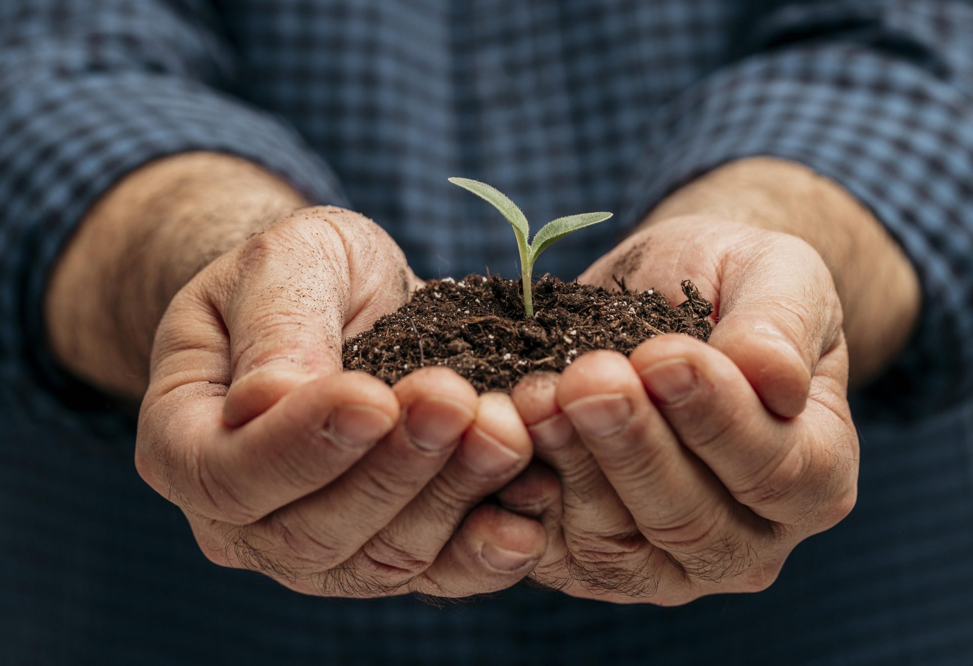 Semana Mundial do Meio Ambiente – atitudes para ajudar o planeta