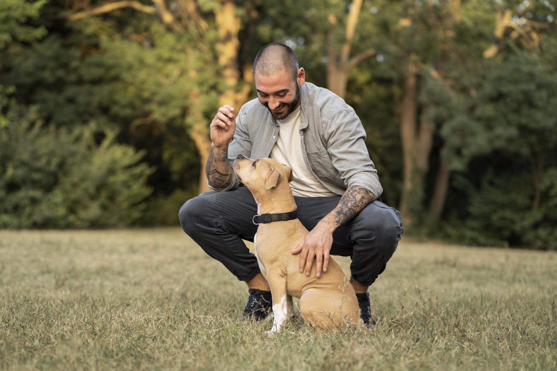 Longevidade canina – cuidados importantes para garantir que seu cachorro viva mais