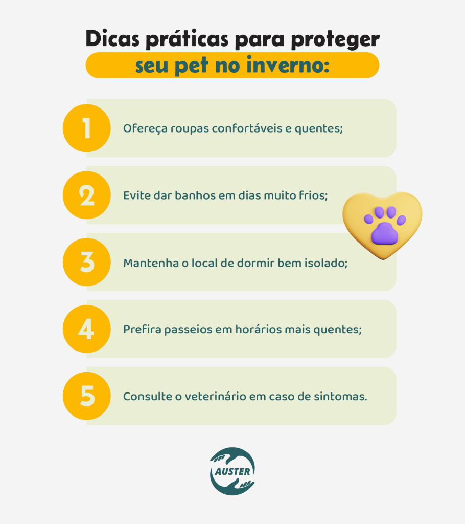 Dicas práticas para proteger seu pet no inverno:• Ofereça roupas confortáveis e quentes; • Evite dar banhos em dias muito frios; • Mantenha o local de dormir bem isolado; • Prefira passeios em horários mais quentes; • Consulte o veterinário em caso de sintomas.
